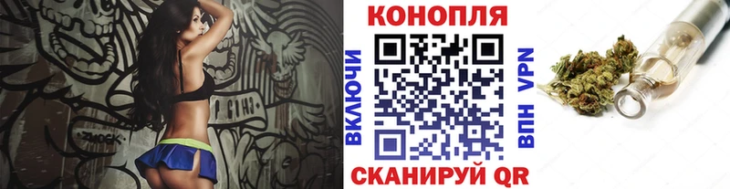 Канабис семена  Купить где  Губаха 